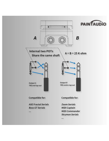 Pedal de Expresión Foot Captain Audio Paint Doble Salida