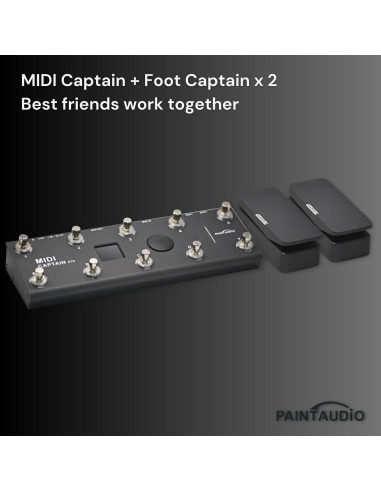 Pedal de Expresión Foot Captain Audio Paint Doble Salida