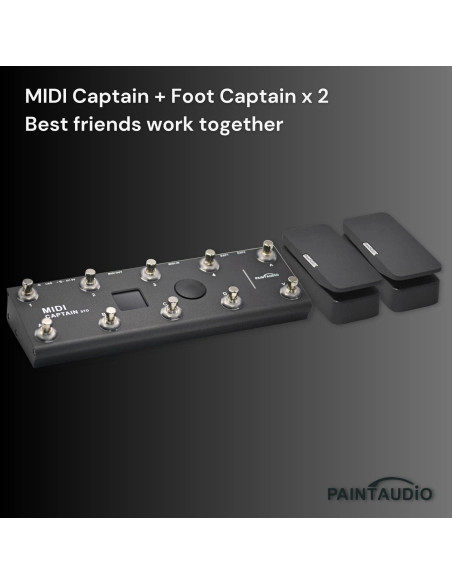 Pedal de Expresión Foot Captain Audio Paint Doble Salida