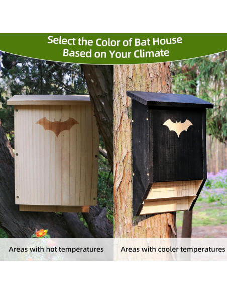 Casa de Murciélagos de Madera Doble Cámara SEEZENGREEN 38.5cm