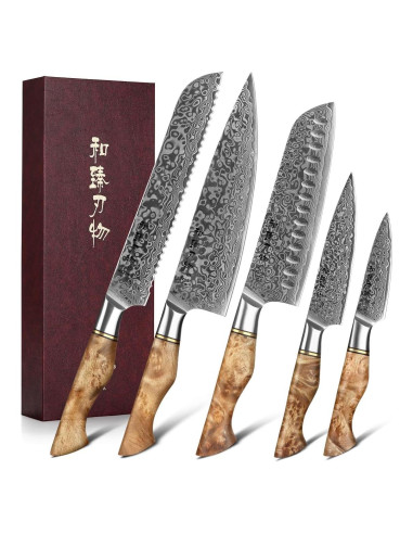 Juego de Cuchillos de Cocina HEZHEN Damasco 5PCS Mango Madera