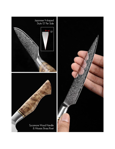 Juego de Cuchillos de Cocina HEZHEN Damasco 5PCS Mango Madera