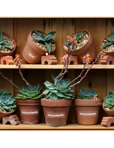 Cinta de Etiqueta Buyalot TZe-155 24mm Blanca Transparente Paquete 2