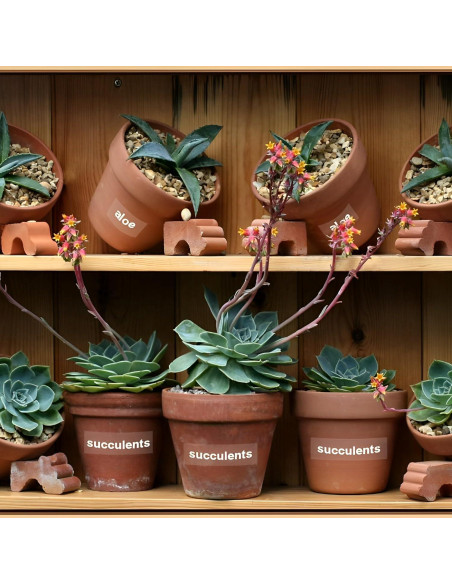 Cinta de Etiqueta Buyalot TZe-155 24mm Blanca Transparente Paquete 2