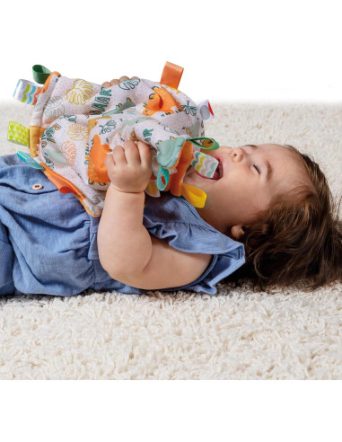 Manta de Seguridad Mary Meyer Taggies Dinosaurio 30x30 cm