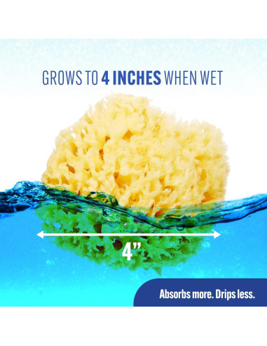 Esponja de Mar Natural Baby Buddy - Ultra Suave 2 Unidades