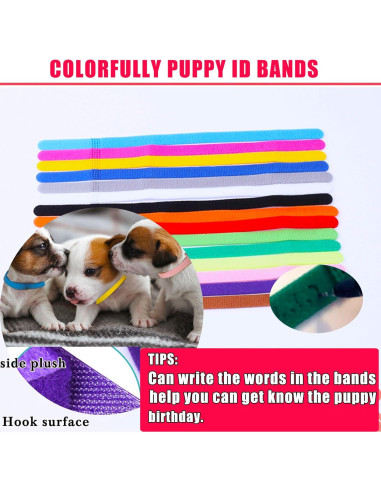 Kit de Parto para Cachorros y Gatitos Kewen - Suministros Completos