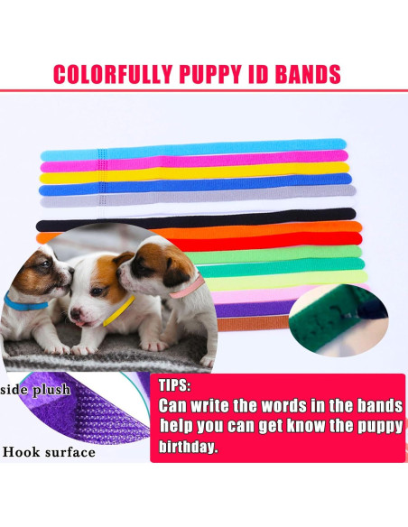 Kit de Parto para Cachorros y Gatitos Kewen - Suministros Completos