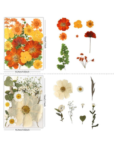 80 Piezas de Flores Prensadas Secas Naturales Buzidao