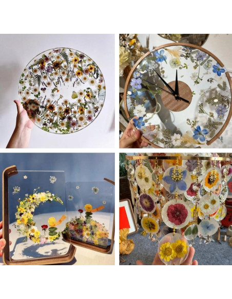 80 Piezas de Flores Prensadas Secas Naturales Buzidao