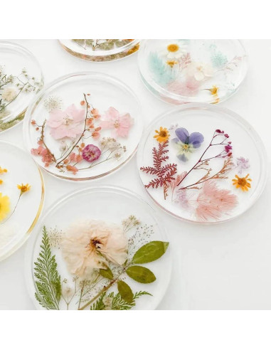 80 Piezas de Flores Prensadas Secas Naturales Buzidao