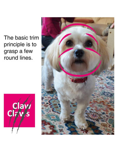 Tijeras de Aseo para Mascotas Claw Claws 15 cm Punta Redonda