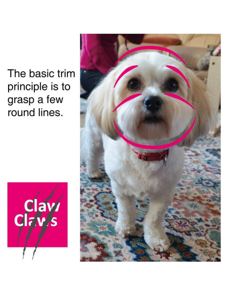 Tijeras de Aseo para Mascotas Claw Claws 15 cm Punta Redonda