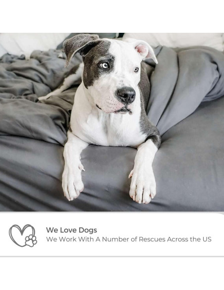 Juego de Sábanas Rey 6p Viscosa Bambú Wooflinen Gris Moderno