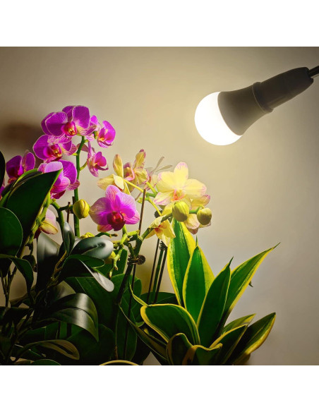 Bombilla LED de Crecimiento E26 WEEGrow 11W Espectro Completo - Paquete de 2