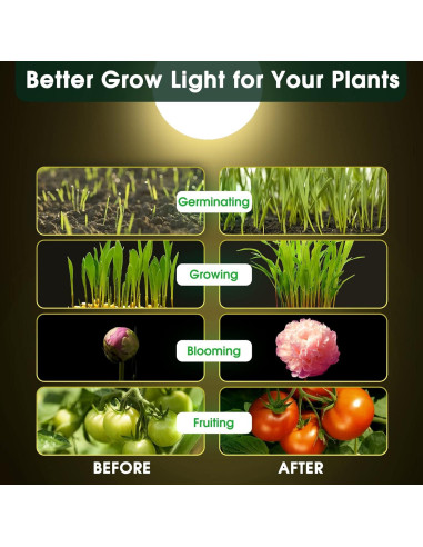 Bombilla LED de Crecimiento E26 WEEGrow 11W Espectro Completo - Paquete de 2