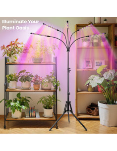 Luz de Crecimiento LED Garpsen 5 Cabezas con Soporte Ajustable 2