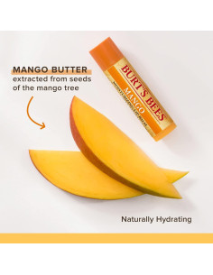 Bálsamo Labial Burt's Bees Mango - Hidratante Natural 2 Tubos 4.25g 2