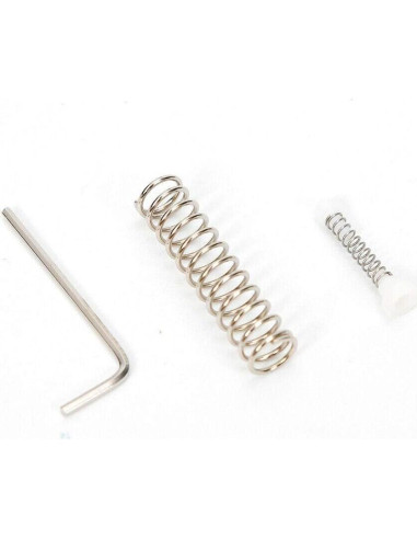 Pistola de Limpieza Eléctrica TouSuaRSi 110V 60W 0.65L