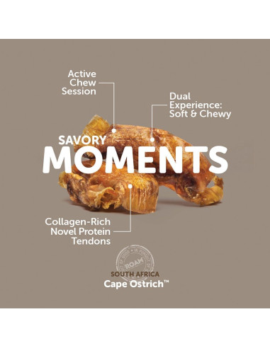 Golosinas para Perros ROAM PET TREATS Ossy Chops 2pk 160g