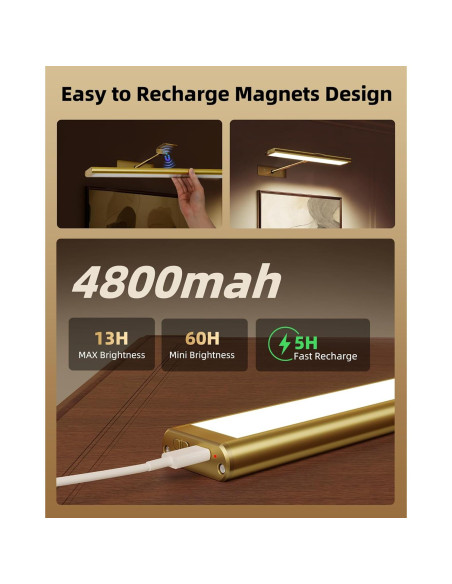 Luz de Imagen LED EZVALO 40.6cm Recargable Dimmable Dorada