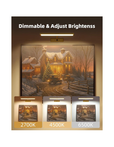 Luz de Imagen LED EZVALO 40.6cm Recargable Dimmable Dorada