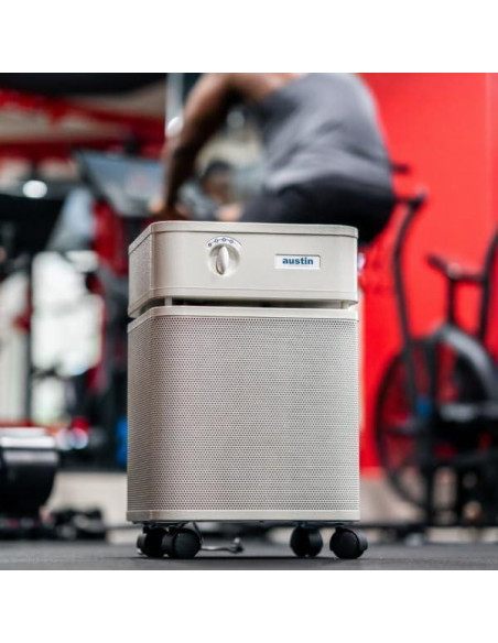 Purificador de aire Austin Air Healthmate Plus B450 - HEPA médico