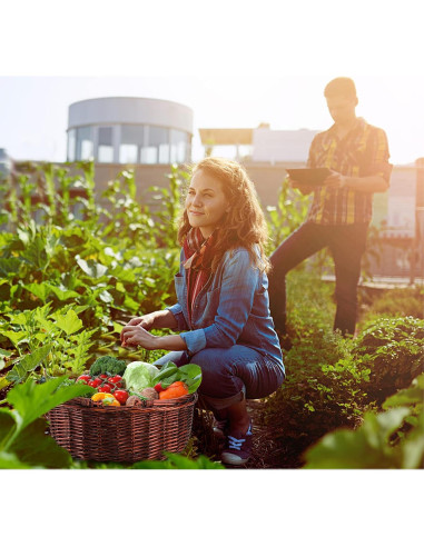 Cesta de Picnic de Mimbre Dicunoy 33x26.7 cm Rústica