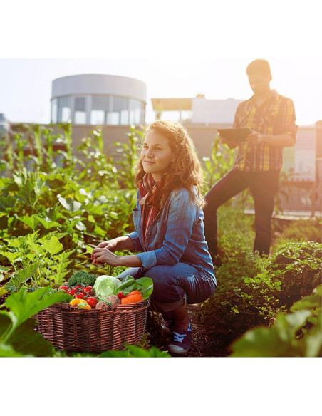 Cesta de Picnic de Mimbre Dicunoy 33x26.7 cm Rústica