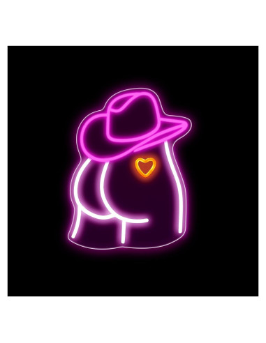 Luz de Neón Sombrero Vaquero Auspical LED USB Rosa/Blanca