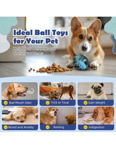 Juguete Interactivo para Perros Ewalkor - 4 en 1, Azul