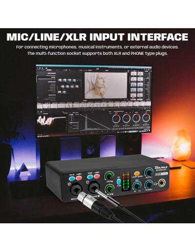 Interfaz de Audio Bolanle 2i2 24-bit/192kHz USB Portátil