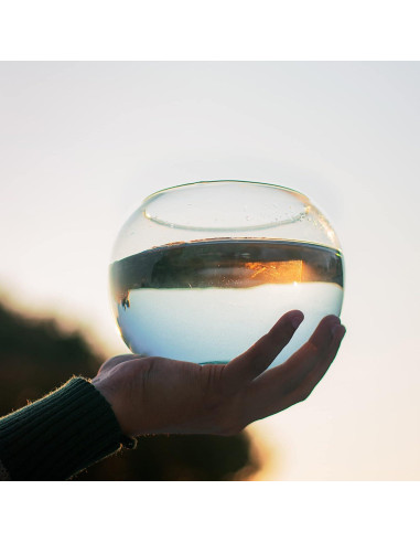 Jarrón de Burbuja de Vidrio CYS EXCEL 11.43x13.97 cm