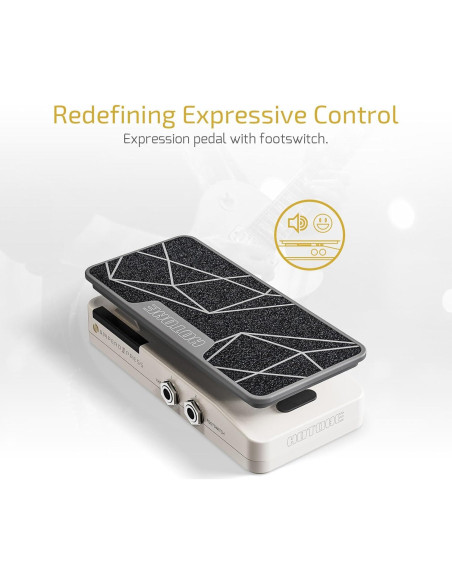 Procesador de Efectos Múltiples HOTONE Ampero II Stomp + Pedal