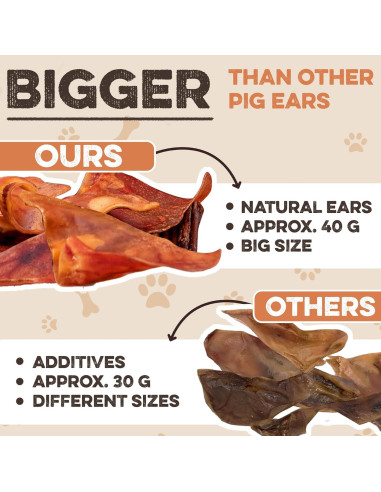 Orejas de Cerdo Enteras Brutus & Barnaby 12 Ct - Masticables Naturales