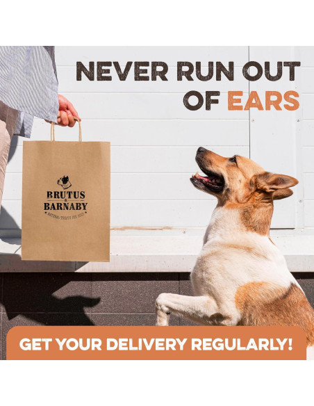 Orejas de Cerdo Enteras Brutus & Barnaby 12 Ct - Masticables Naturales
