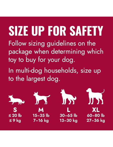 KONG Goodie Bone - Hueso de Goma Natural para Perros X Grande