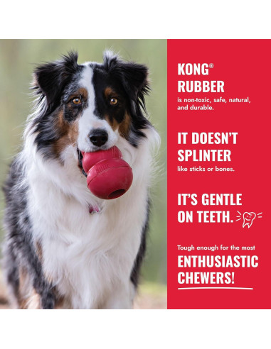 KONG Goodie Bone - Hueso de Goma Natural para Perros X Grande