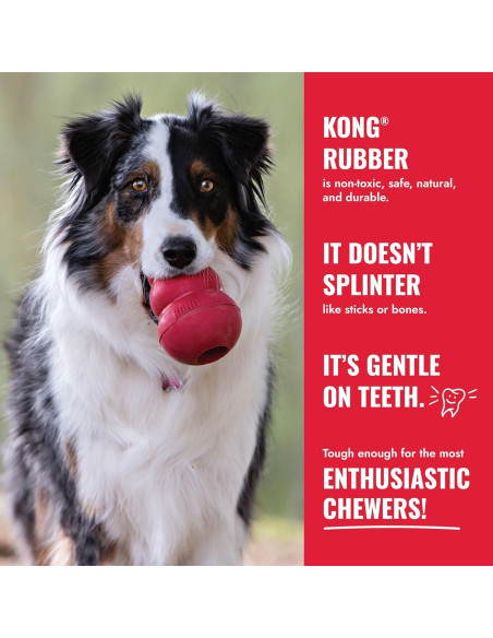 KONG Goodie Bone - Hueso de Goma Natural para Perros X Grande