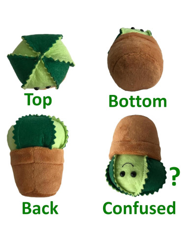 Alfiletero Cactus BusyPet con Alfileres de Mariposa 7x7x9cm