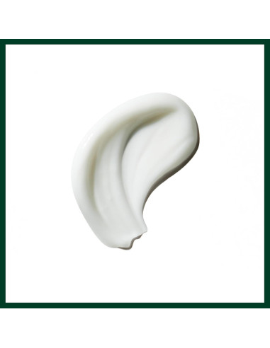 Crema Aumentadora de Rizos Aveda Be Curly 38.4 ml - Reduce Frizz