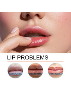 Juego de Lápiz Labial Desmontable Petansy 3 Colores 2