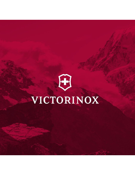 Cuchillo de Rebanar Forjado 20 cm Victorinox Acero Inoxidable