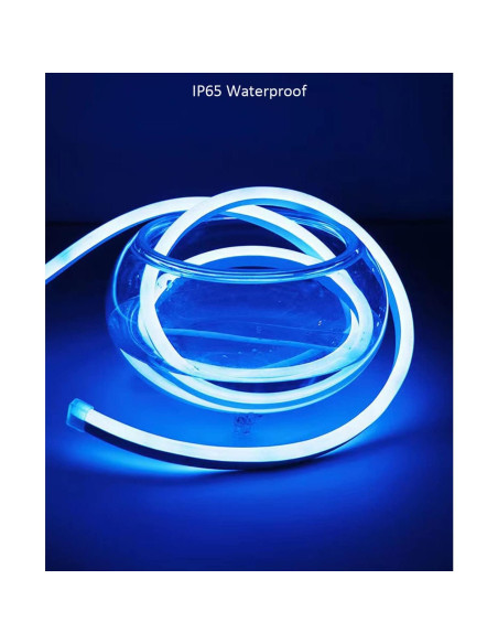 Tira LED de Neón 5m 12V Azul 600 LEDs IP65 Decorativa