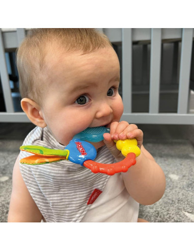 Anillo de Dentición Nuby 632 Multicolor 14x8 cm