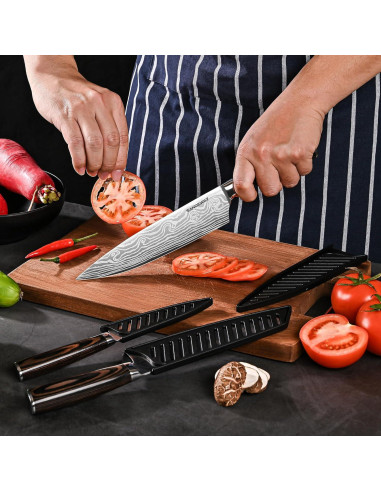 Juego de Cuchillos de Cocina Profesional SANDEWILY 3PCS Acero Inoxidable