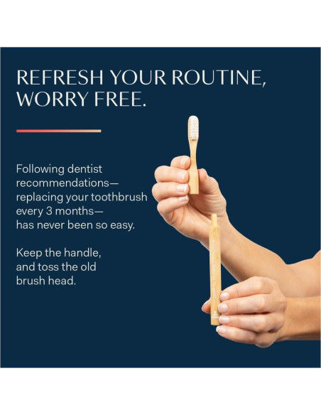 Cepillo de Dientes de Bambú Mejor y Mejor | Cerdas Suaves | Ecológico