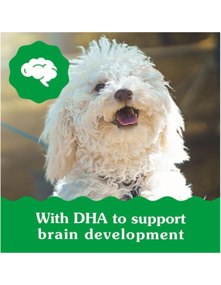 Golosinas Dentales Greenies Puppy 170 g para Cachorros