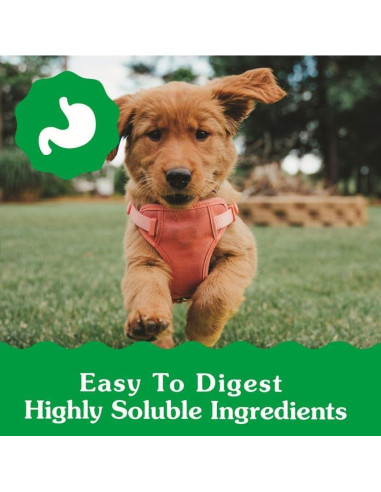 Golosinas Dentales Greenies Puppy 170 g para Cachorros