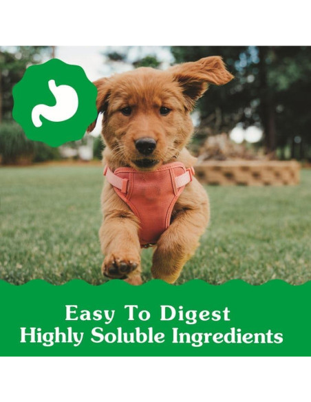 Golosinas Dentales Greenies Puppy 170 g para Cachorros